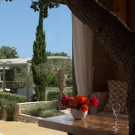 Stolidi Mou Treehouse *