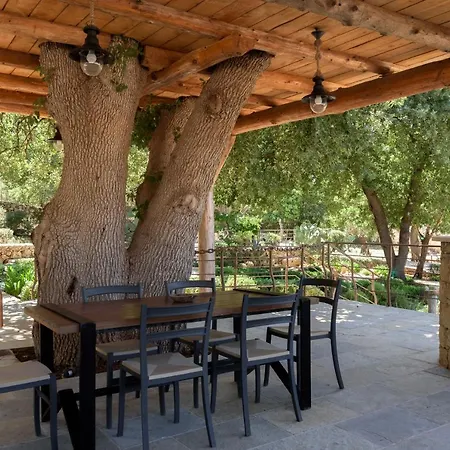 Stolidi Mou Treehouse * Atsipopoulo