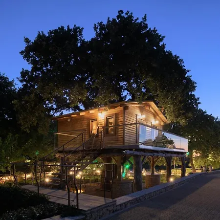 Stolidi Mou Treehouse Atsipopoulo